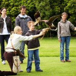 Falconry_09