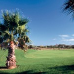 golf-cap-dagde